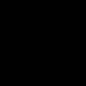 Meet your Posher, Aaliyah